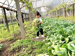 -美家乐农庄·露营·团建(大治路店)