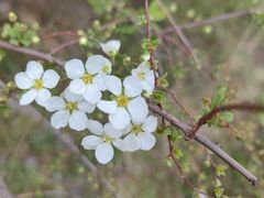 -广富林郊野公园