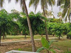 -三亚亚龙湾金棕榈度假酒店