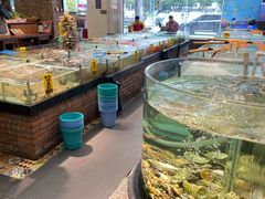 水产区-九號渔港·蒸汽海鲜·粤菜茶点(八卦岭店)