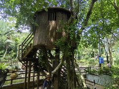 -三亚蜈支洲岛旅游区