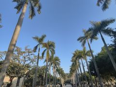 -厦门大学(思明校区)