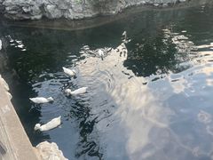 -豫园