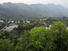 -南山植物园