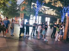 -静安公园(静安寺街道)