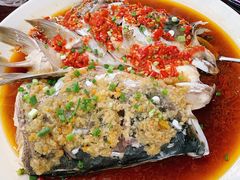 双色鱼头-聚缘·湘味音乐餐厅party(罗湖店)