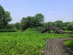 -西溪国家湿地公园