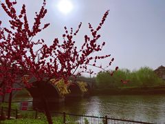 -西安汉城湖景区