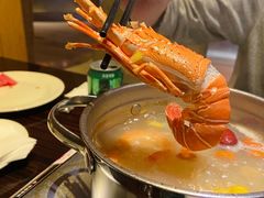 -上海东方佘山翰悦阁酒店·Vie全日制餐厅