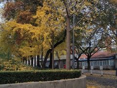 -中央民族大学