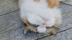 -元一肌肤管理中心