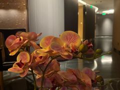 -良子健身·竹Spa(五四广场店)