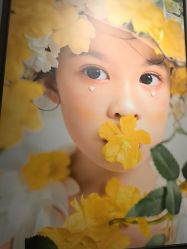 -大树儿童摄影