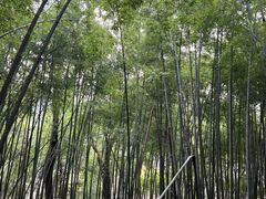 -重庆雨台山风景区