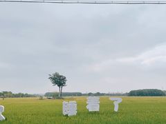 -嘉北郊野公园