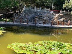 -香山公园