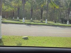 -海南热带野生动植物园