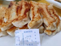 -青岛锅贴(洛阳路分店)
