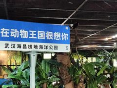 -海合安武汉极地海洋公园