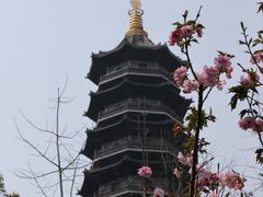 -重庆园博园