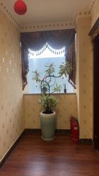 -安院长·产后恢复·徒手骨盆(先天下店)