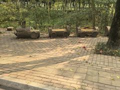 -雀儿山公园