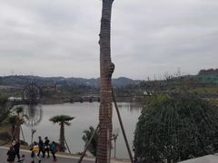 -枫香湖儿童公园