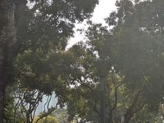 -四海公园(南山区)