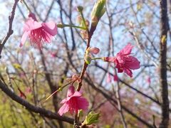-福清灵石山国家森林公园