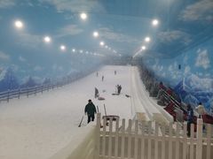 -世界之窗阿尔卑斯冰雪世界