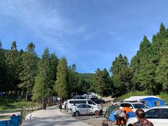 -武陵山森林公园