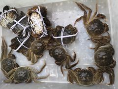 -芦潮港集贸市场