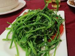-粤北餐馆