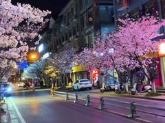 -老号尤兔头(幸福店)