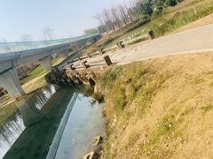 -白鹭湾湿地公园