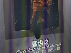 -天津自然博物馆
