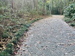 -杭州植物园