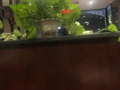 -老牌坊•鲁菜名店•地道济南菜(大观园商埠店)