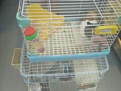 -UltraForce超源健身私教工作室(长楹天街精品店)