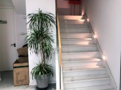 点击看大图 -IDOL PLUS