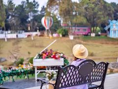 -铁山坪森林公园