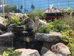 -花溪雨·森林餐厅(石基店)