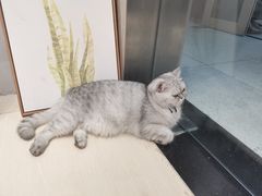 -Oasis绿洲银饰珍珠手作diy(壹方城店)
