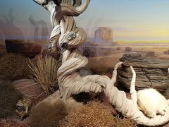 -陕西自然博物馆