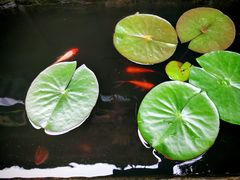 -海窝子古镇