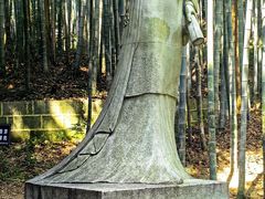 -敬亭山风景名胜区