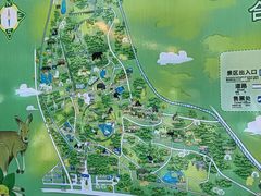 -合肥野生动物园