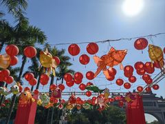 -顺峰山公园