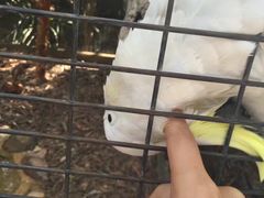 -费瑟代尔野生动物园