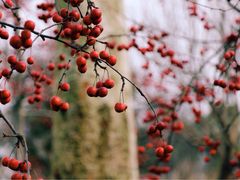 -南通洲际绿博园